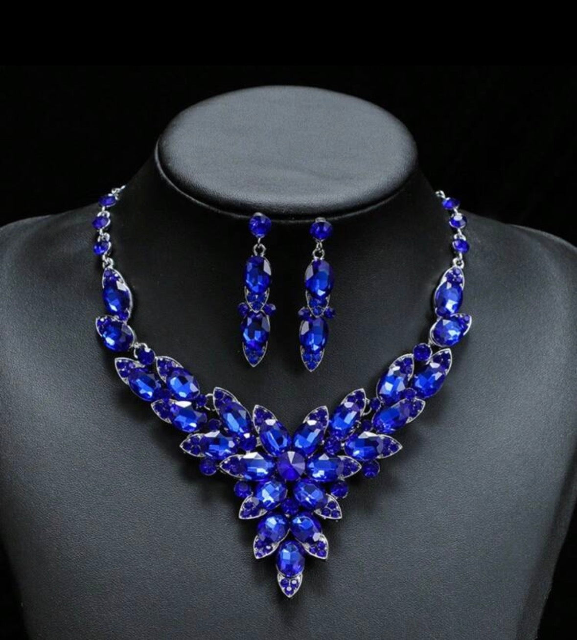 Blueberry Excellence - Blue