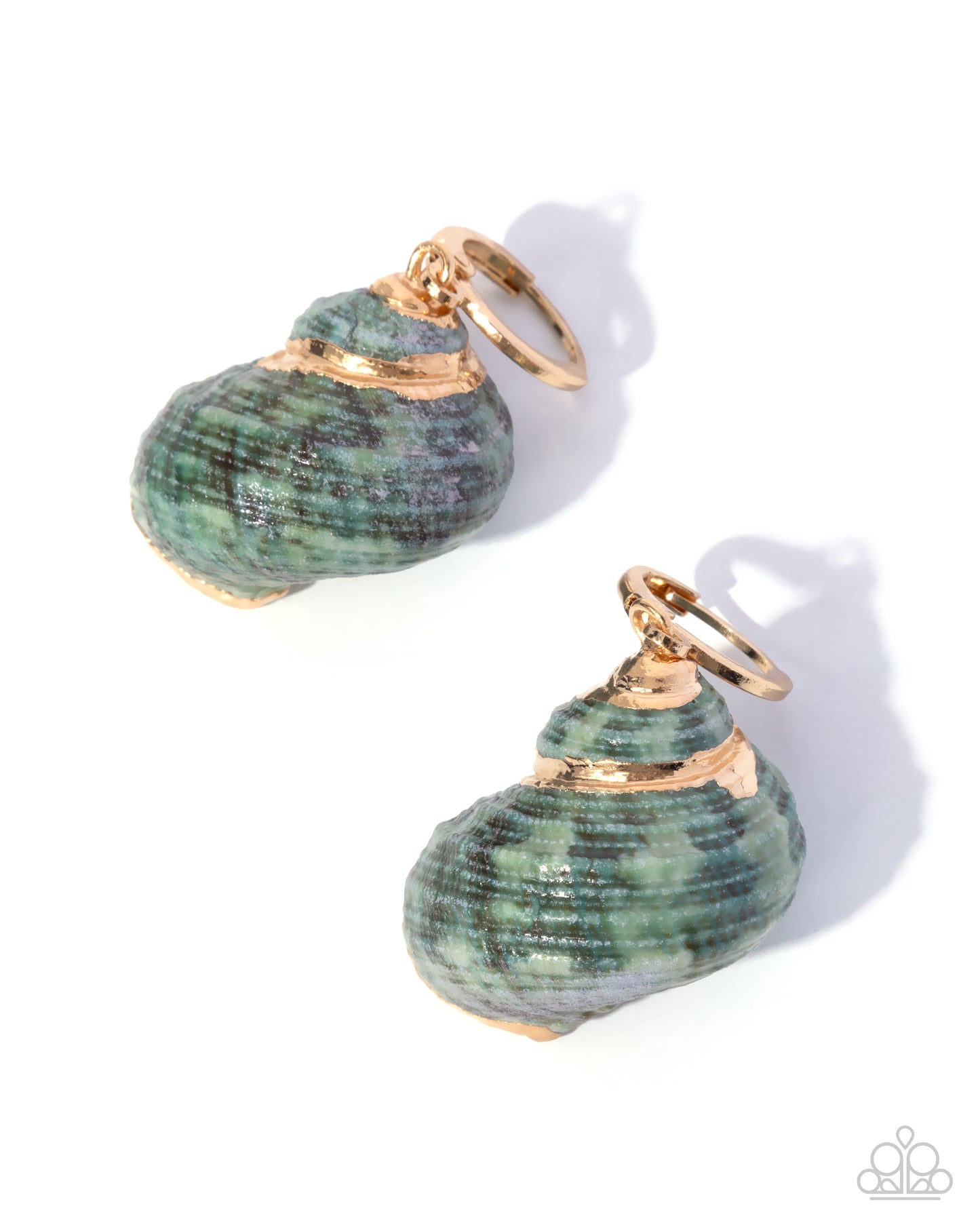 Seashell Spotlight - Green